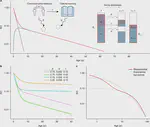 The universal decay of collective memory and attention