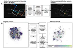 From Co-Location Patterns to an Informal Social Network of Gig Economy Workers