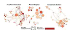 Interconnectedness in Education Systems