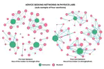 Layered structure of advice-seeking across instructor, group, and cross-group ties in undergraduate physics laboratories