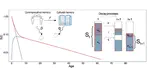 Quantifying the temporal dynamics of collective memory and attention in social systems